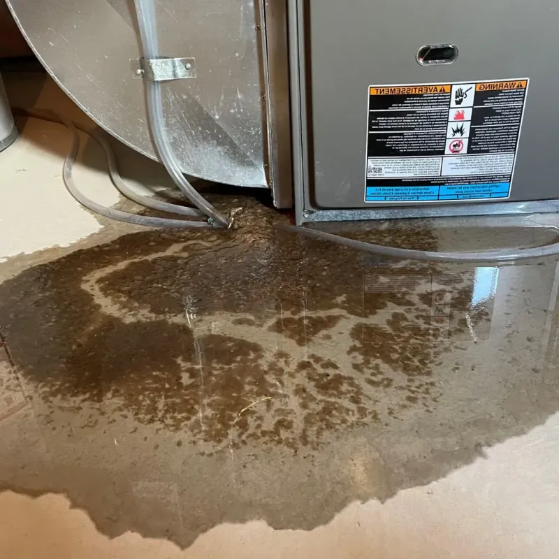 Pipe Burst and Leak Restoration in Rancho Tehama Reserve, CA
